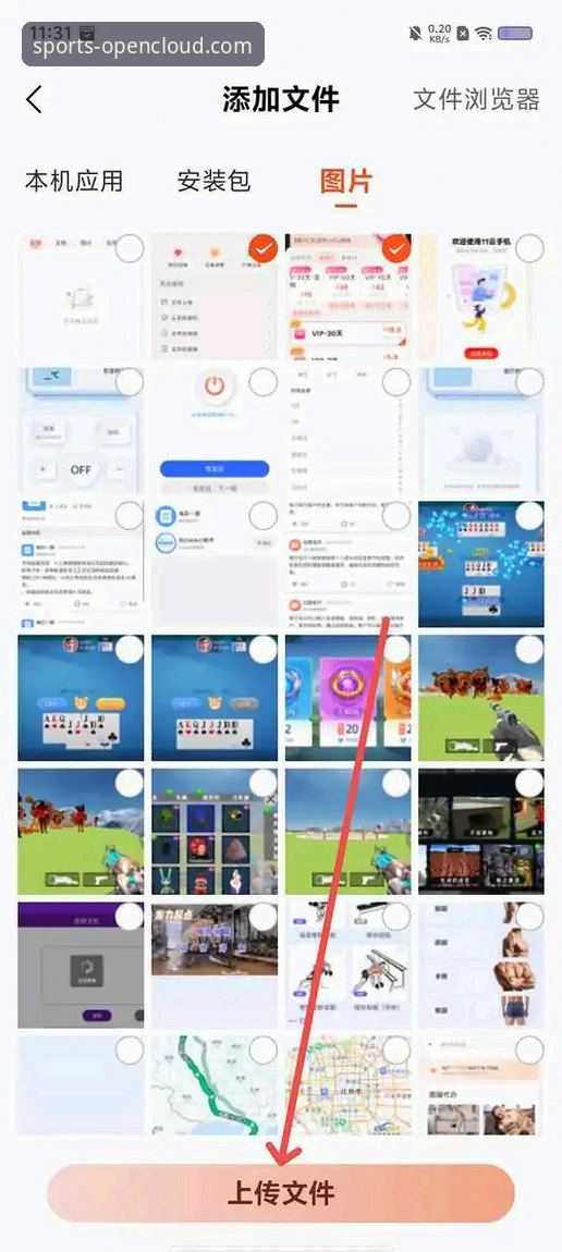 开云官方网站APP下载 vs 网页版入口：新手如何选择与快速上手指南